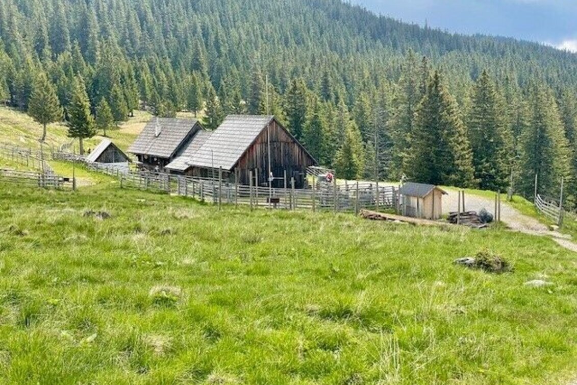 Mountain Biking Glitz-Alm-Tour Eibiswald - Touren-Impression #1