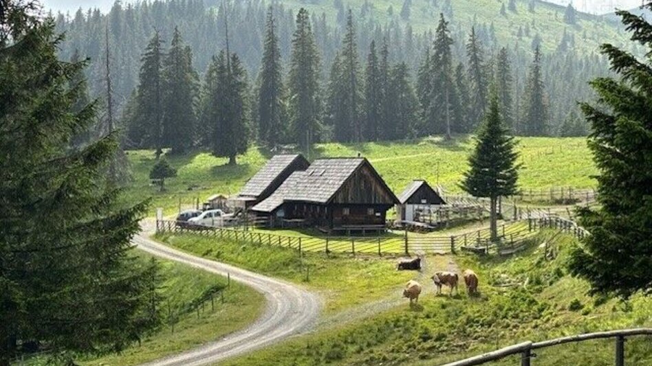 Mountain Biking Glitz-Alm-Tour Wies - Touren-Impression #2.1