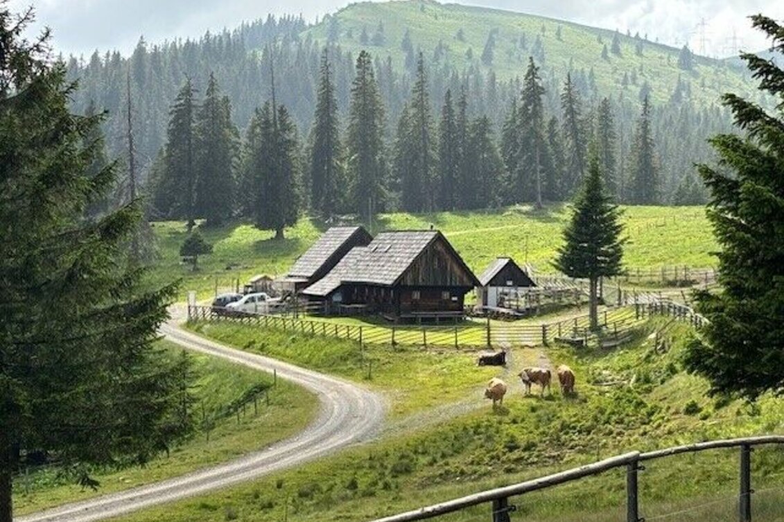 Mountain Biking Glitz-Alm-Tour Wies - Touren-Impression #1