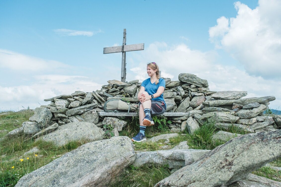 Hiking route Wandern bei Frohnleiten: Wieseralm - Hochalm - Touren-Impression #1