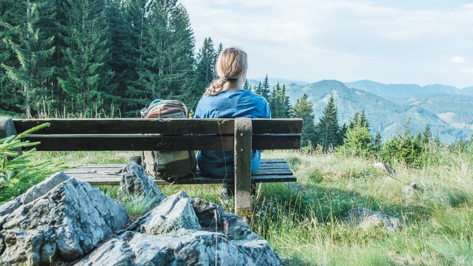 Hiking route Wandern bei Frohnleiten: Wieseralm - Hochalm - Touren-Impression #2.2