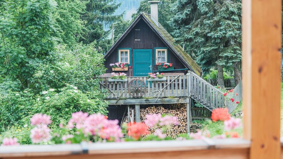 Hiking route Wandern bei Frohnleiten: Wieseralm - Hochalm - Touren-Impression #2.3