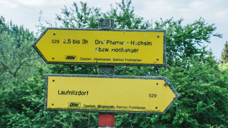 Hiking route Wandern bei Frohnleiten: Wieseralm - Hochalm - Touren-Impression #2.6