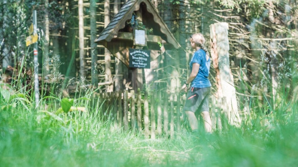 Hiking route Wandern bei Frohnleiten: Wieseralm - Hochalm - Touren-Impression #2.7