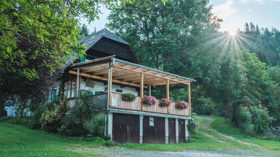 Hiking route Wandern bei Frohnleiten: Wieseralm - Hochalm - Touren-Impression #2.8