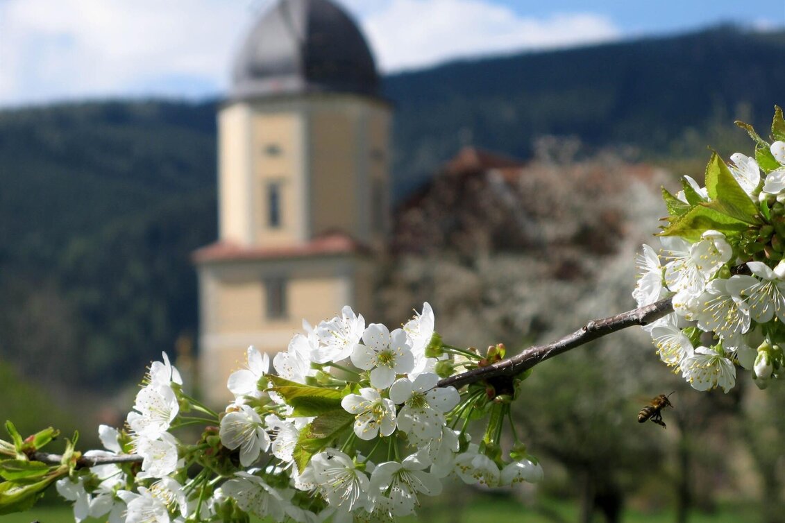 Bike & Hike Bike & Hike Seckau - Touren-Impression #1 | © Abtei Seckau