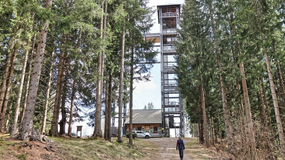 Bike & Hike Bike & Hike Tremmelberg - Touren-Impression #2.4 | © Weges OG