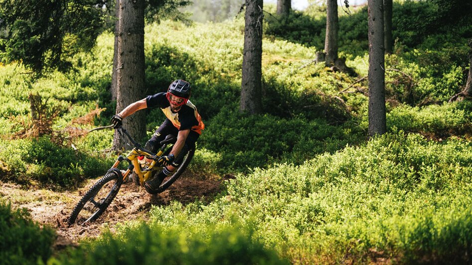 Singletrail Hochalm Enduro Trail | 109 - Touren-Impression #2.1