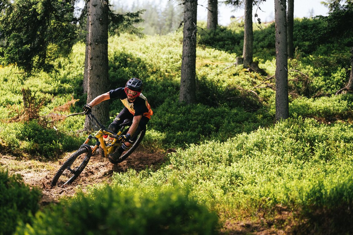 Singletrail Hochalm Enduro Trail | 109 - Touren-Impression #1