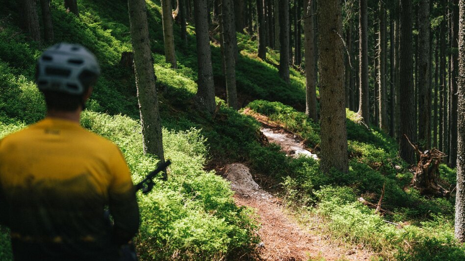 Singletrail Hochalm Enduro Trail | 109 - Touren-Impression #2.2