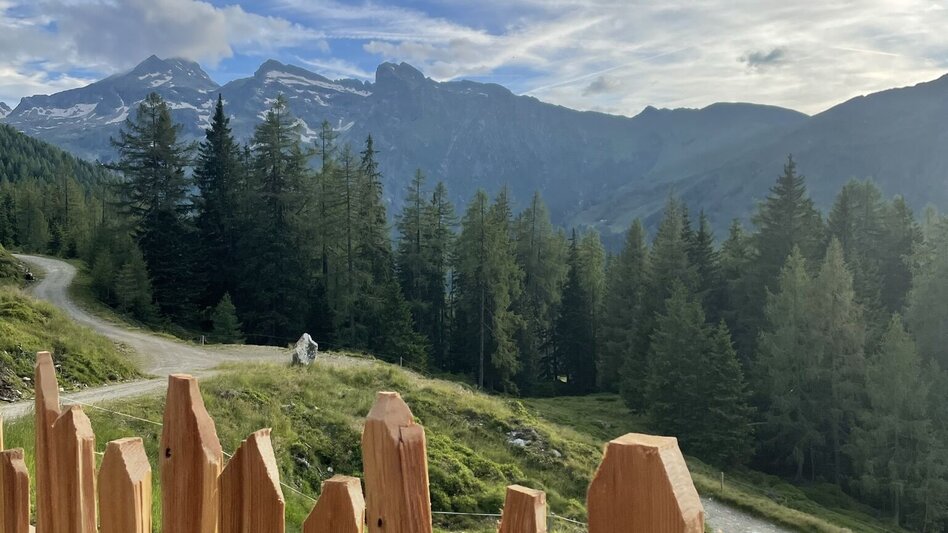 Hiking route Aus dem Sattental zur Schladminger Alm - Touren-Impression #2.3