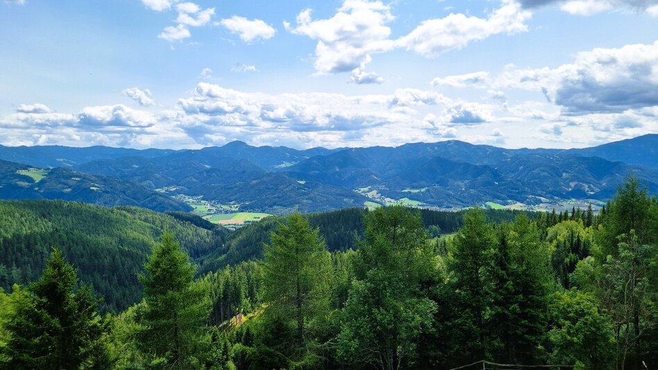 Hiking route Great Herzogberg circuit - Touren-Impression #2.1 | © TV Hochsteiermark