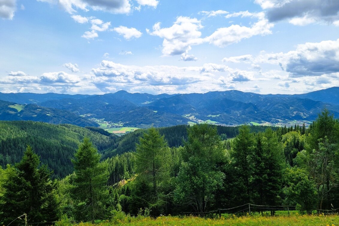 Hiking route Great Herzogberg circuit - Touren-Impression #1 | © TV Hochsteiermark
