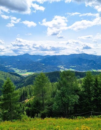 Ochsenhimmelkreuz_Töllamoaralm_25072024 (1).jpg | Andreas Steininger | © TV Hochsteiermark
