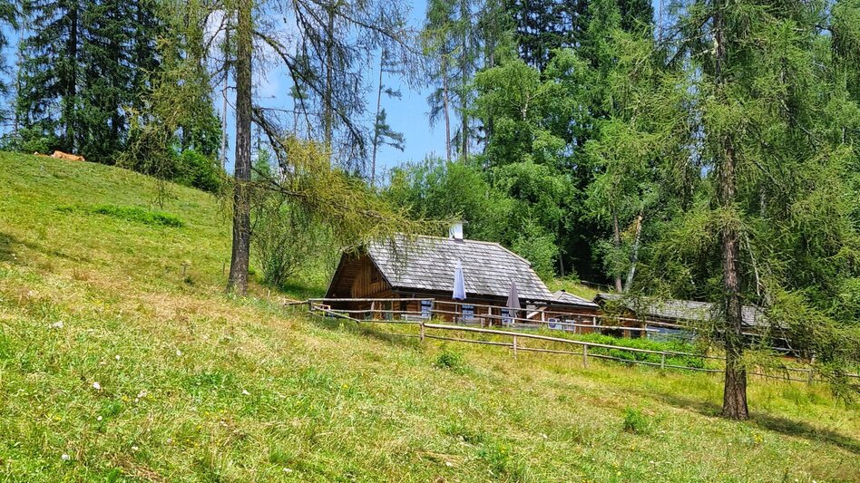 Hiking route Great Herzogberg circuit - Touren-Impression #2.2 | © TV Hochsteiermark
