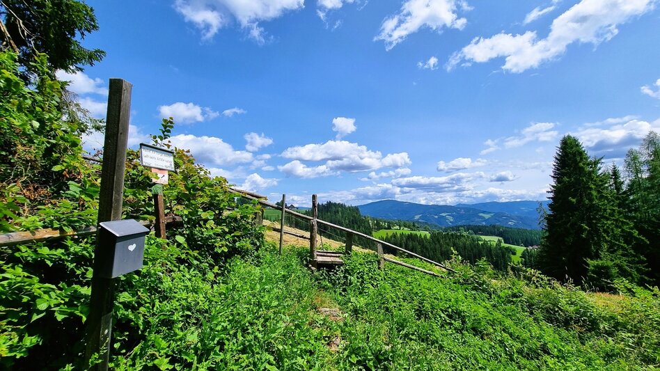 Hiking route Great Herzogberg circuit - Touren-Impression #2.4 | © TV Hochsteiermark