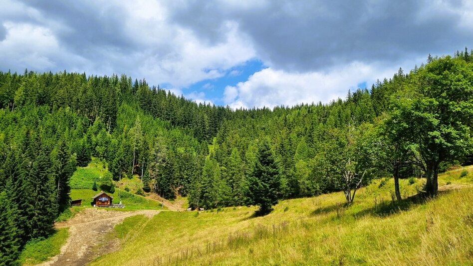 Hiking route Great Herzogberg circuit - Touren-Impression #2.5 | © TV Hochsteiermark