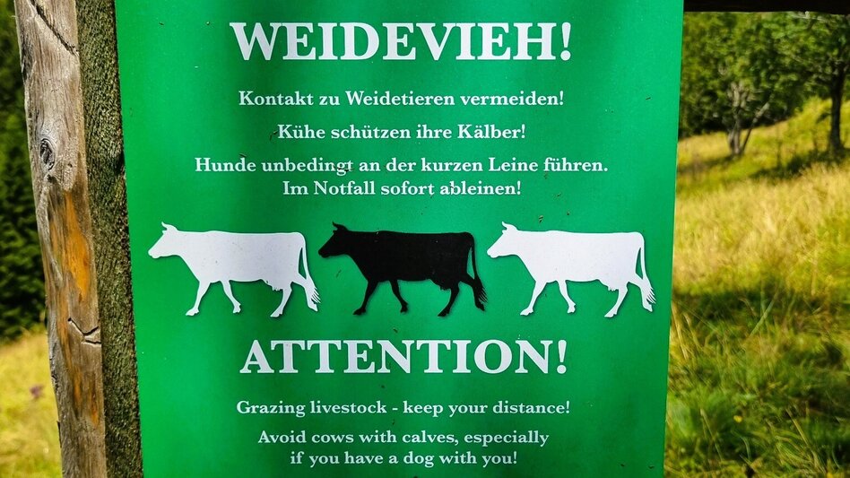 Hiking route Great Herzogberg circuit - Touren-Impression #2.6 | © TV Hochsteiermark