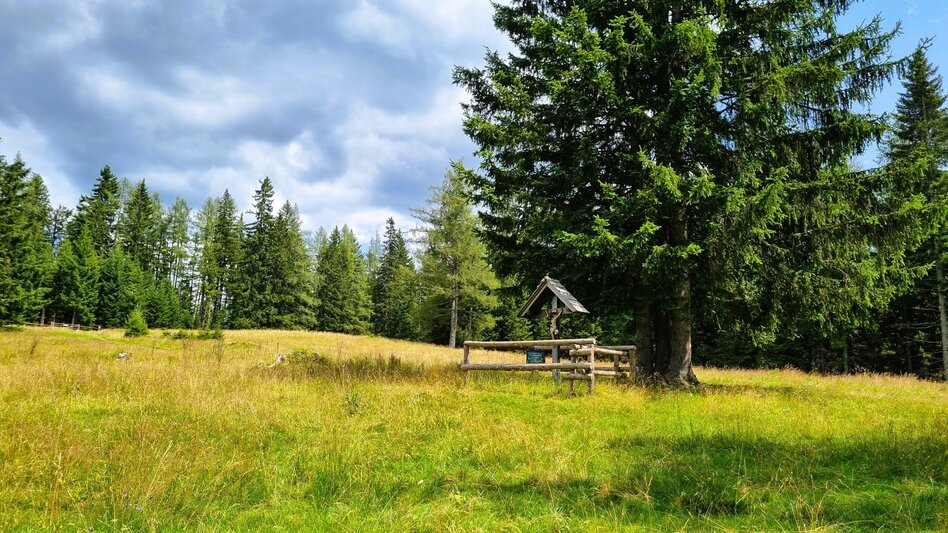 Hiking route Great Herzogberg circuit - Touren-Impression #2.7 | © TV Hochsteiermark