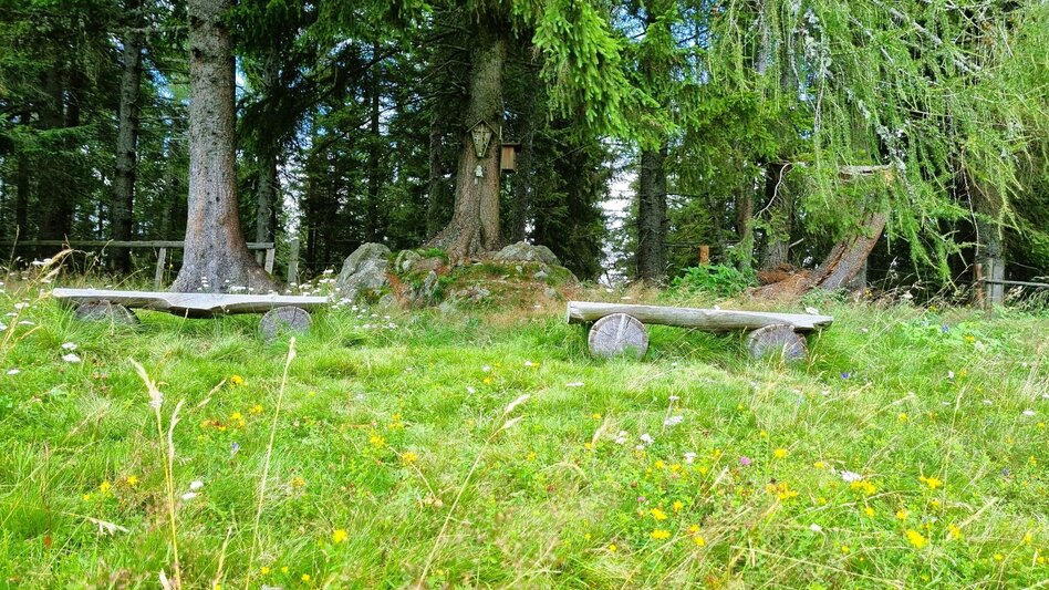 Hiking route Great Herzogberg circuit - Touren-Impression #2.9 | © TV Hochsteiermark