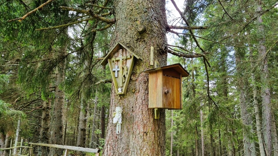 Hiking route Great Herzogberg circuit - Touren-Impression #2.10 | © TV Hochsteiermark