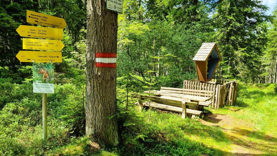 Hiking route Great Herzogberg circuit - Touren-Impression #2.11 | © TV Hochsteiermark