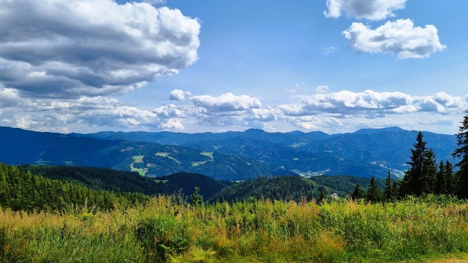 Hiking route Great Herzogberg circuit - Touren-Impression #2.12 | © TV Hochsteiermark