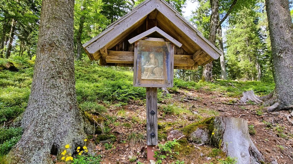 Hiking route Great Herzogberg circuit - Touren-Impression #2.13 | © TV Hochsteiermark