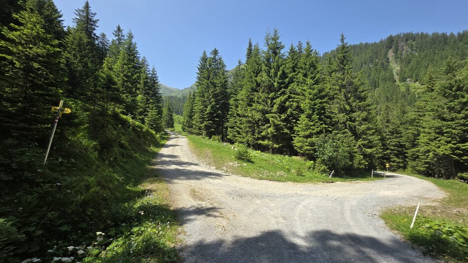 Hiking route Auf die Kälberalm - Himmlisches Platzerl 4 - Touren-Impression #2.2 | © Marlene Zandl
