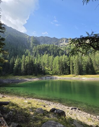 Marlene Zandl | © Marlene Zandl