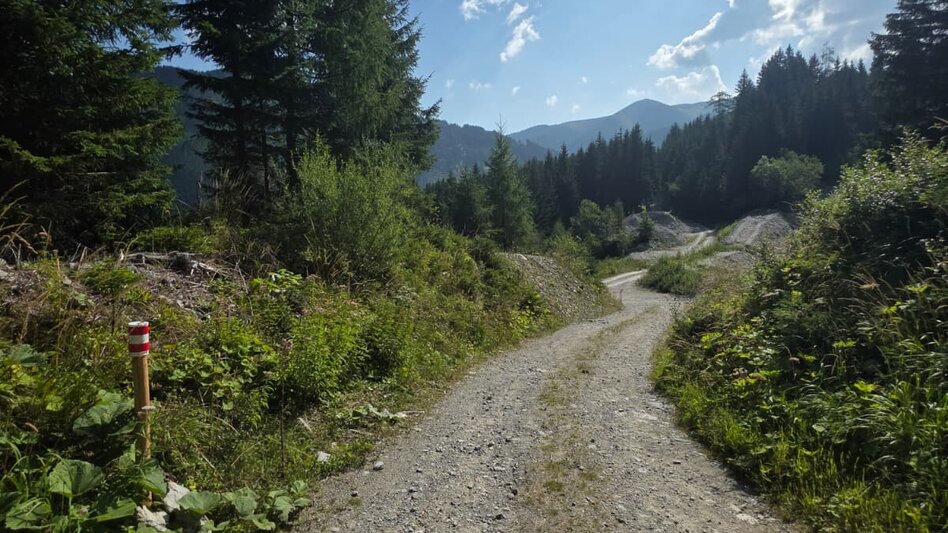 Wanderung Wanderung zum Eberlsee - Touren-Impression #2.2 | © Marlene Zandl