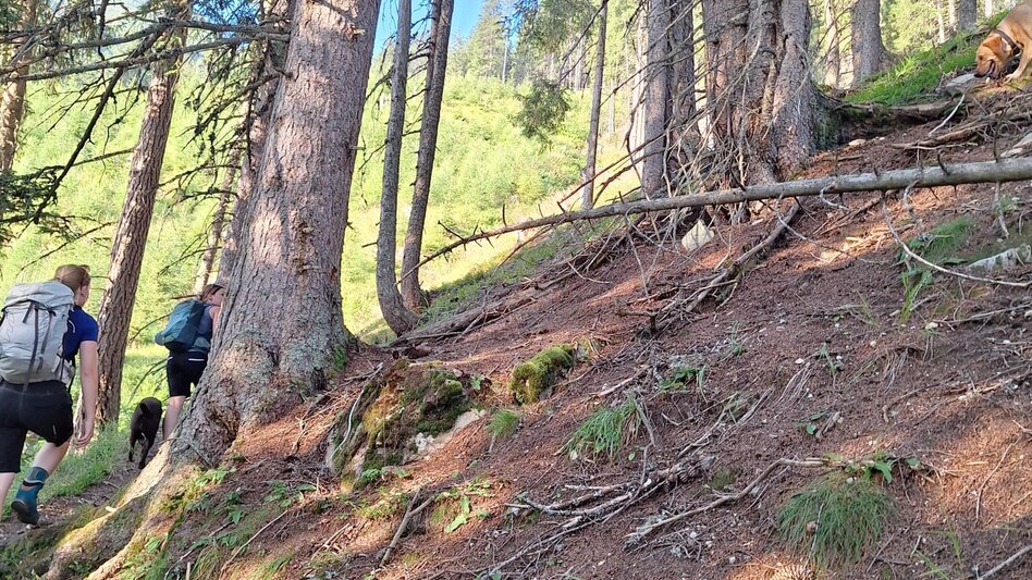 Wanderung Wanderung zum Eberlsee - Touren-Impression #2.3 | © Anna Pucher