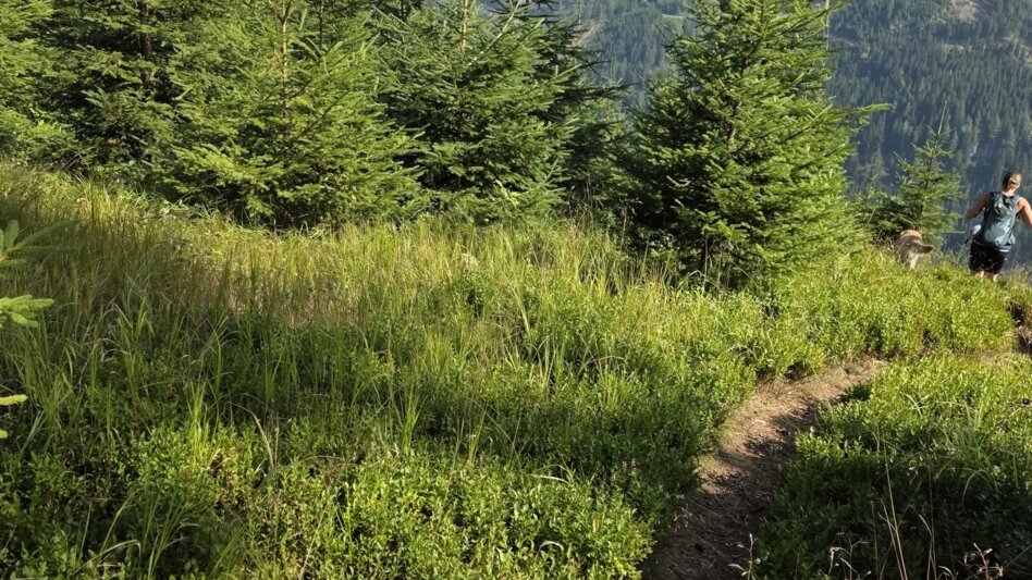 Wanderung Wanderung zum Eberlsee - Touren-Impression #2.5 | © Marlene Zandl