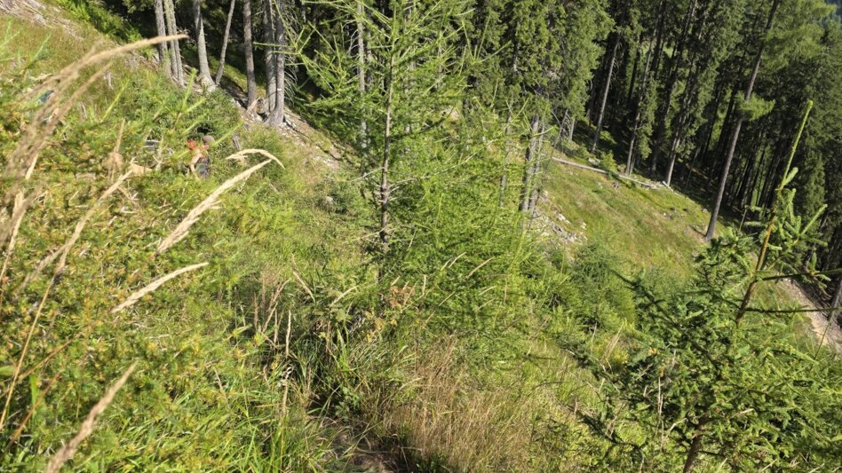 Wanderung Wanderung zum Eberlsee - Touren-Impression #2.6 | © Marlene Zandl