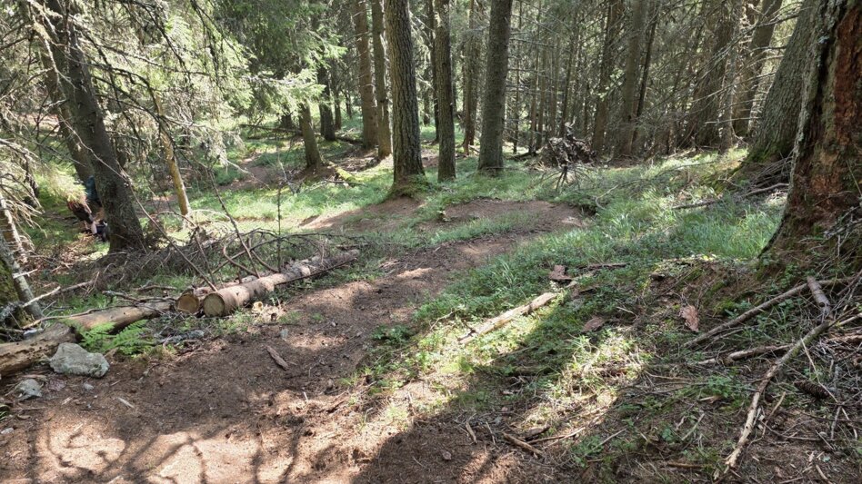 Wanderung Wanderung zum Eberlsee - Touren-Impression #2.8 | © Marlene Zandl