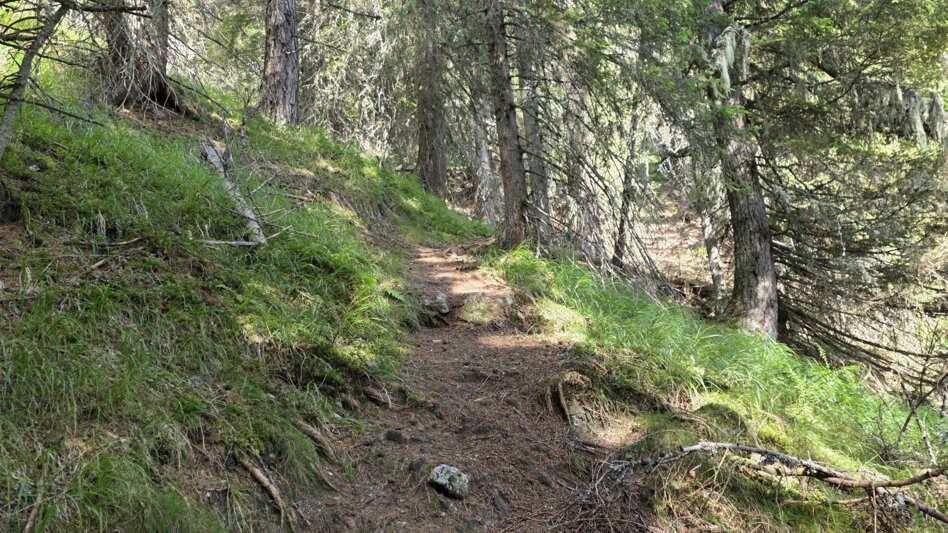 Wanderung Wanderung zum Eberlsee - Touren-Impression #2.9 | © Marlene Zandl