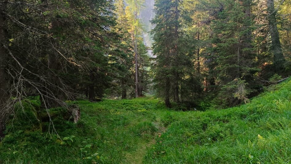 Wanderung Wanderung zum Eberlsee - Touren-Impression #2.10 | © Yvonne Ernst