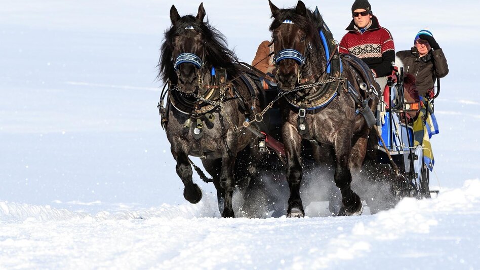Pferdeschlitten Kleine Tälerfahrt ins Obertal - Touren-Impression #2.1 | © Tourismusverband Schladming - Martin Huber