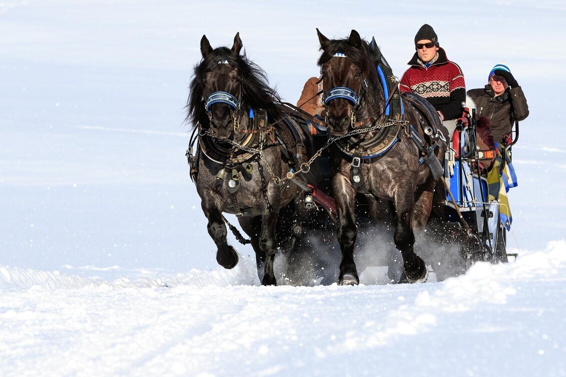 Pferdeschlitten Kleine Tälerfahrt ins Obertal - Touren-Impression #1 | © Tourismusverband Schladming - Martin Huber