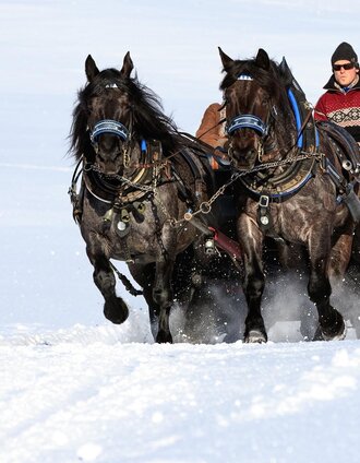 Pferdeschlittentour ins Obertal | Martin Huber | © Tourismusverband Schladming - Martin Huber