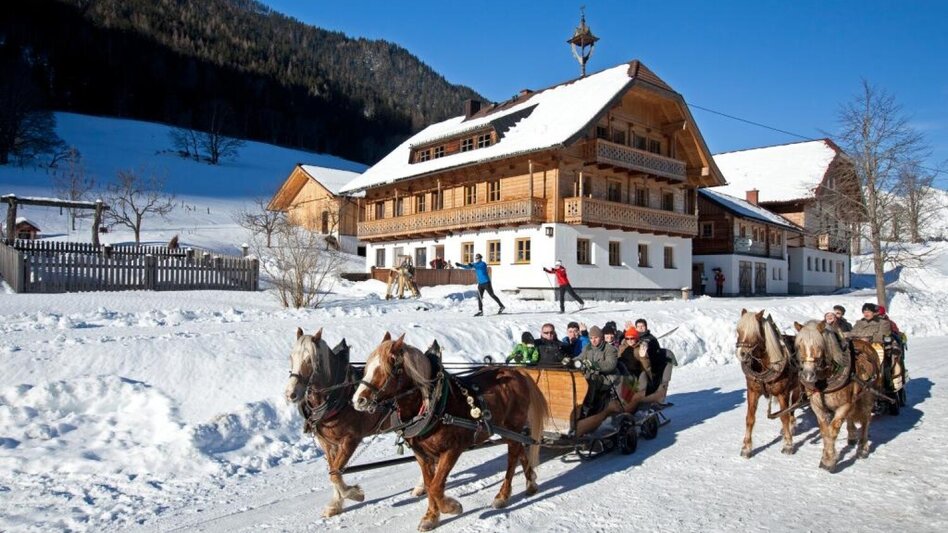 Pferdeschlitten Kleine Tälerfahrt ins Obertal - Touren-Impression #2.3 | © Erlebnisregion Schladming-Dachstein