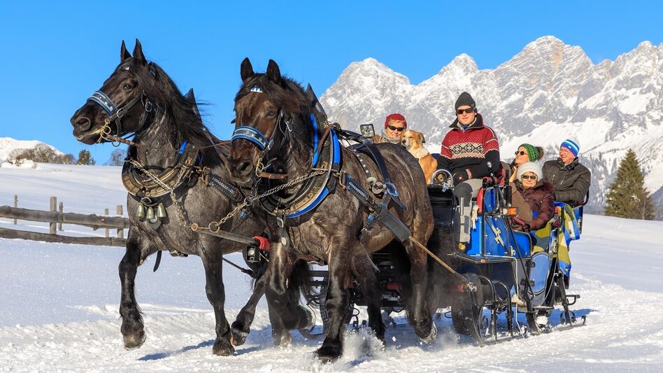 Pferdeschlitten Kleine Tälerfahrt ins Obertal - Touren-Impression #2.6 | © Tourismusverband Schladming - Martin Huber