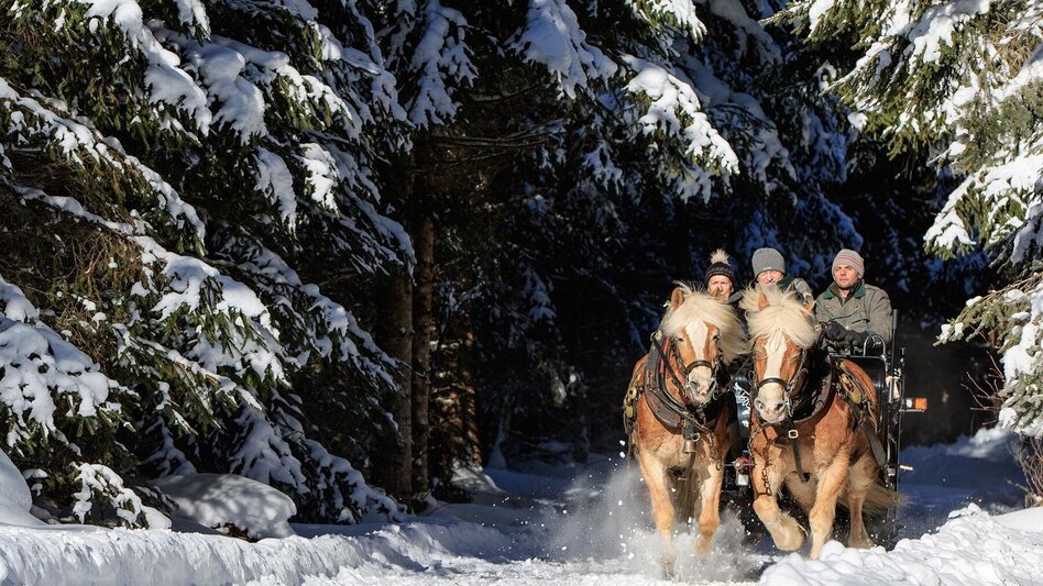 Pferdeschlitten Kleine Tälerfahrt ins Obertal - Touren-Impression #2.9 | © Tourismusverband Schladming - Martin Huber