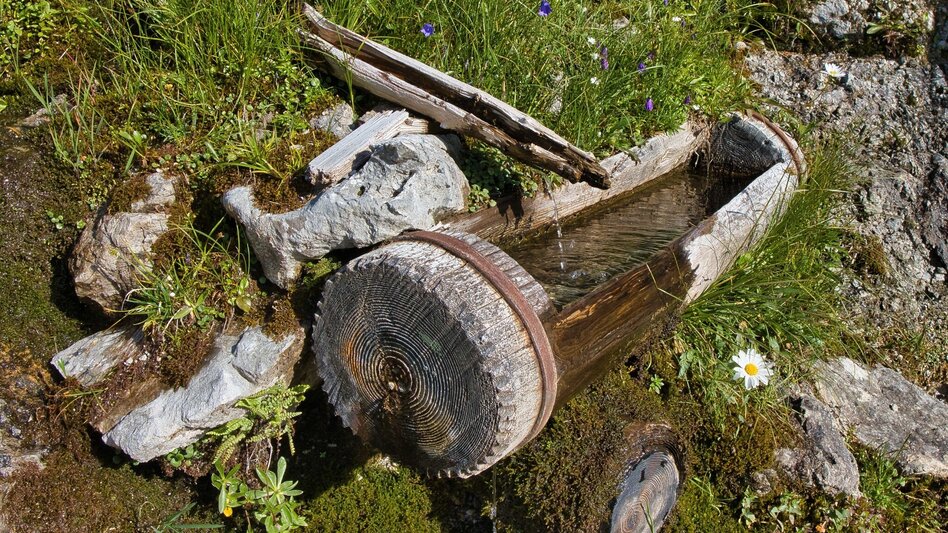 Wanderung Großer Ebenstein, 2123 m - Touren-Impression #2.4 | © Weges OG