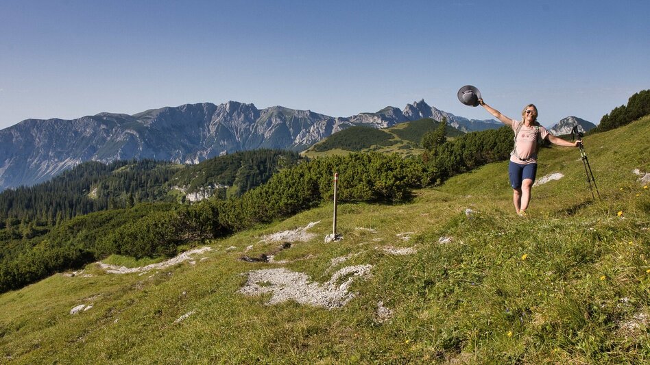Wanderung Großer Ebenstein, 2123 m - Touren-Impression #2.5 | © Weges OG