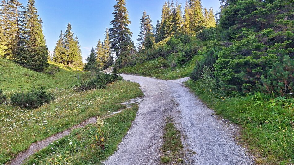 Wanderung Großer Ebenstein, 2123 m - Touren-Impression #2.6 | © Weges OG