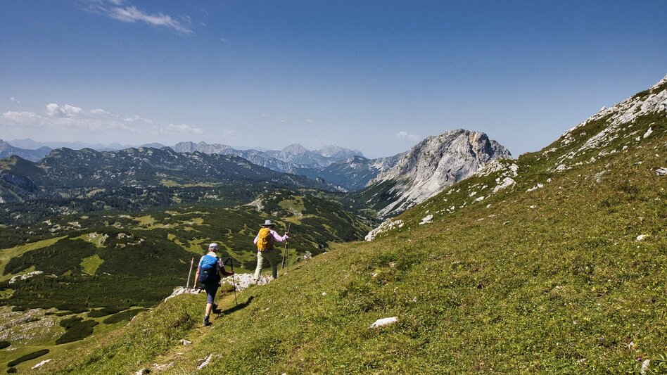 Wanderung Großer Ebenstein, 2123 m - Touren-Impression #2.9 | © Weges OG