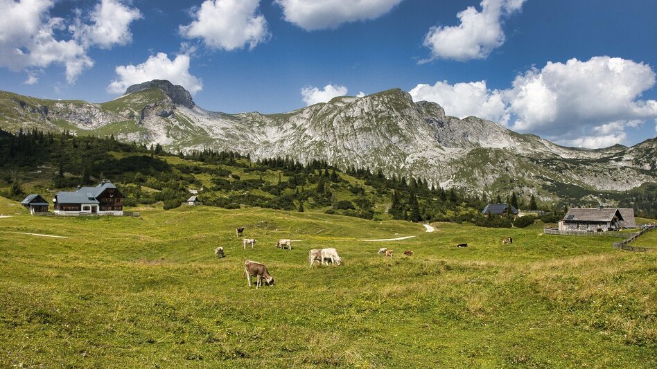Wanderung Großer Ebenstein, 2123 m - Touren-Impression #2.11 | © Weges OG