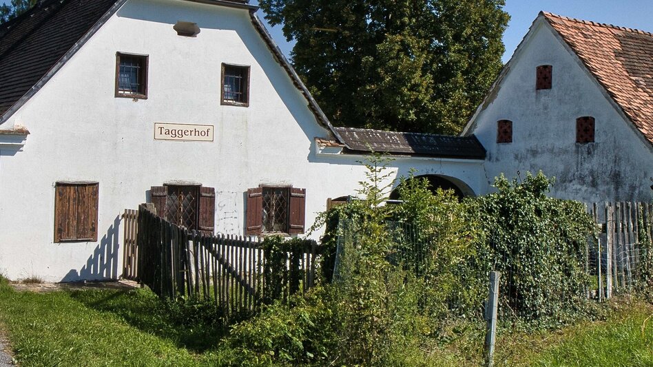 Wanderung Filzkunst-Wanderweg - Touren-Impression #2.5 | © Region Graz