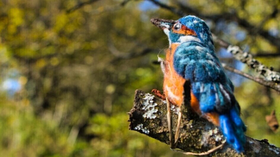 Wanderung Filzkunst-Wanderweg - Touren-Impression #2.1